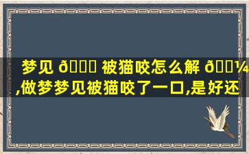 梦见 🐛 被猫咬怎么解 🐼 梦,做梦梦见被猫咬了一口,是好还是坏
